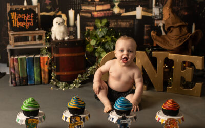 Minneapolis MN Baby Photography | Harry Potter House Sorting Cake Smash