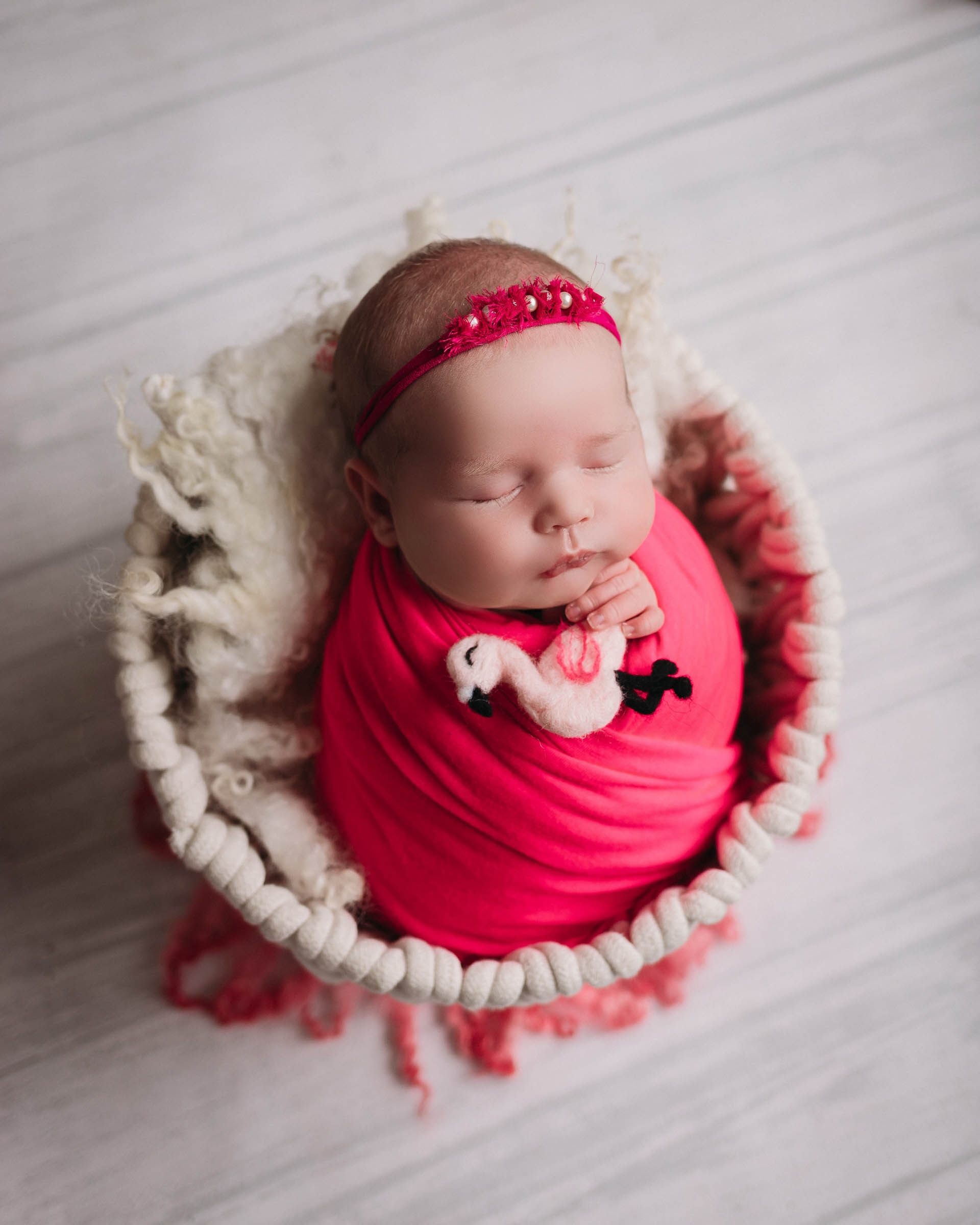 baby girl in hot pink with flamingo stuffie for newborn session professional photography in minneapolis mn