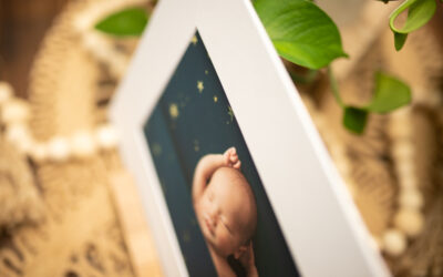 Minneapolis MN Newborn Photographer | Folio Boxes